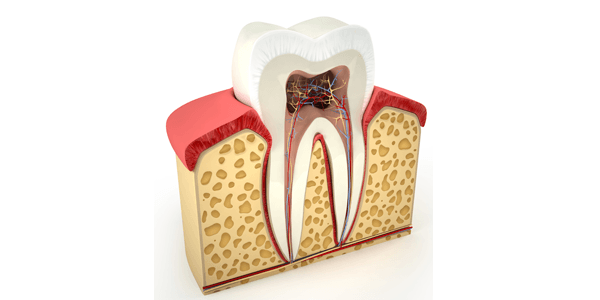 Traitements Endodontiques — dévitalisation et soin des canaux